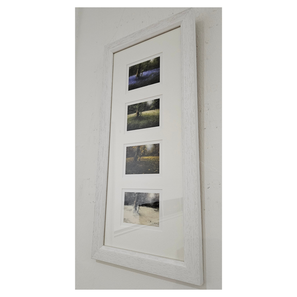 Framed Giclée Prints from original oil paintings by Judith Levin capturing a woodland scene across the seasons.