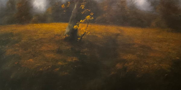 Oil painting of a woodland landscape, studying a tree around Autumn leaves, and a clearing.